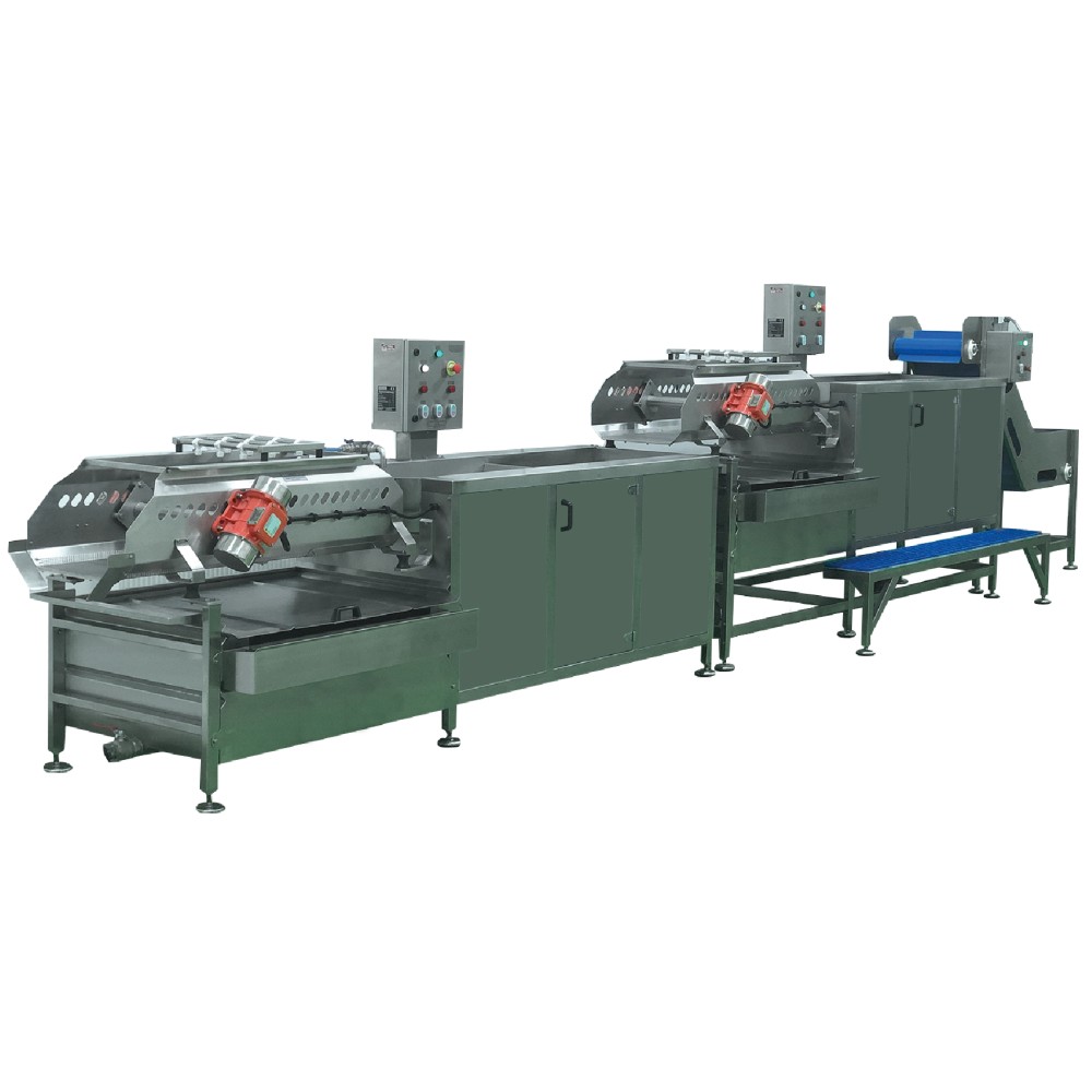 SYM-600 Sebze ve Meyve Yıkama Hattı