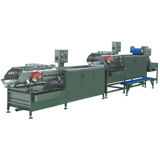SYM-600 Sebze Yıkama Hattı